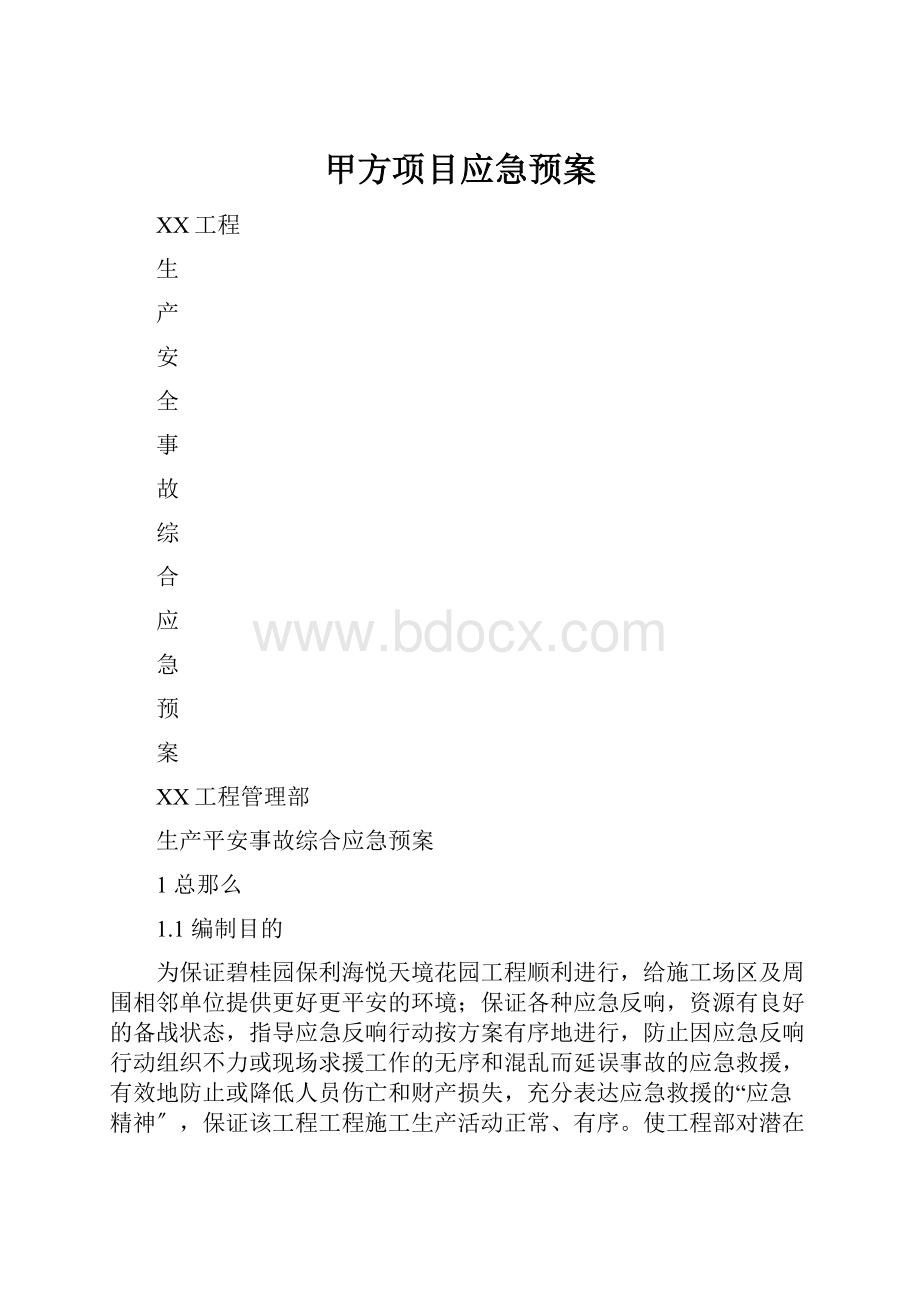 甲方项目应急预案.docx_第1页