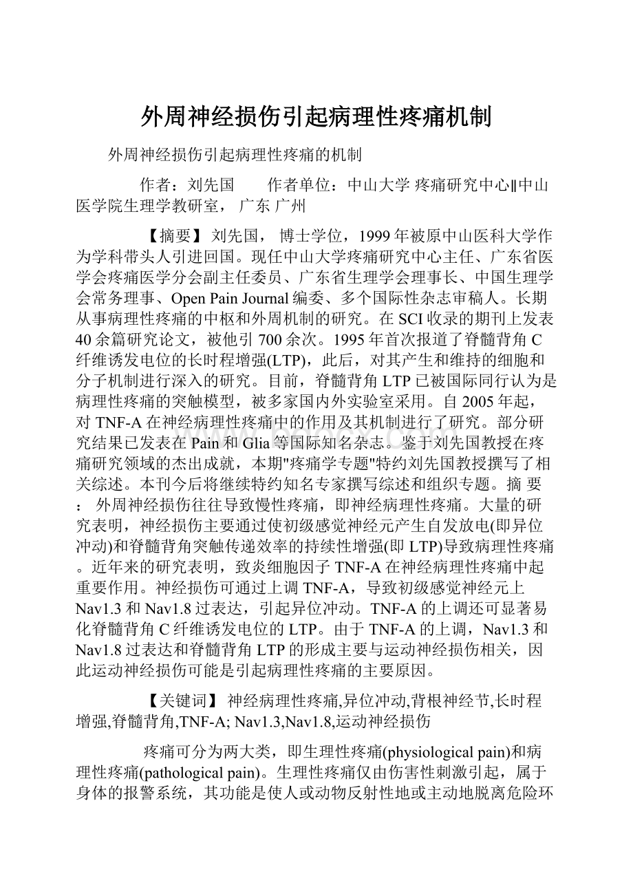 外周神经损伤引起病理性疼痛机制.docx_第1页