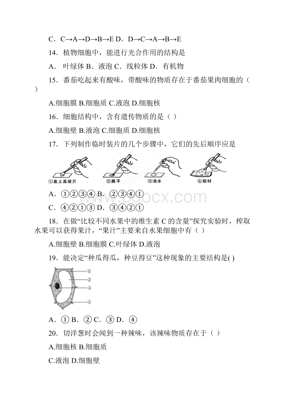 学年度生物中考二轮复习专题卷观察植物细胞.docx_第3页