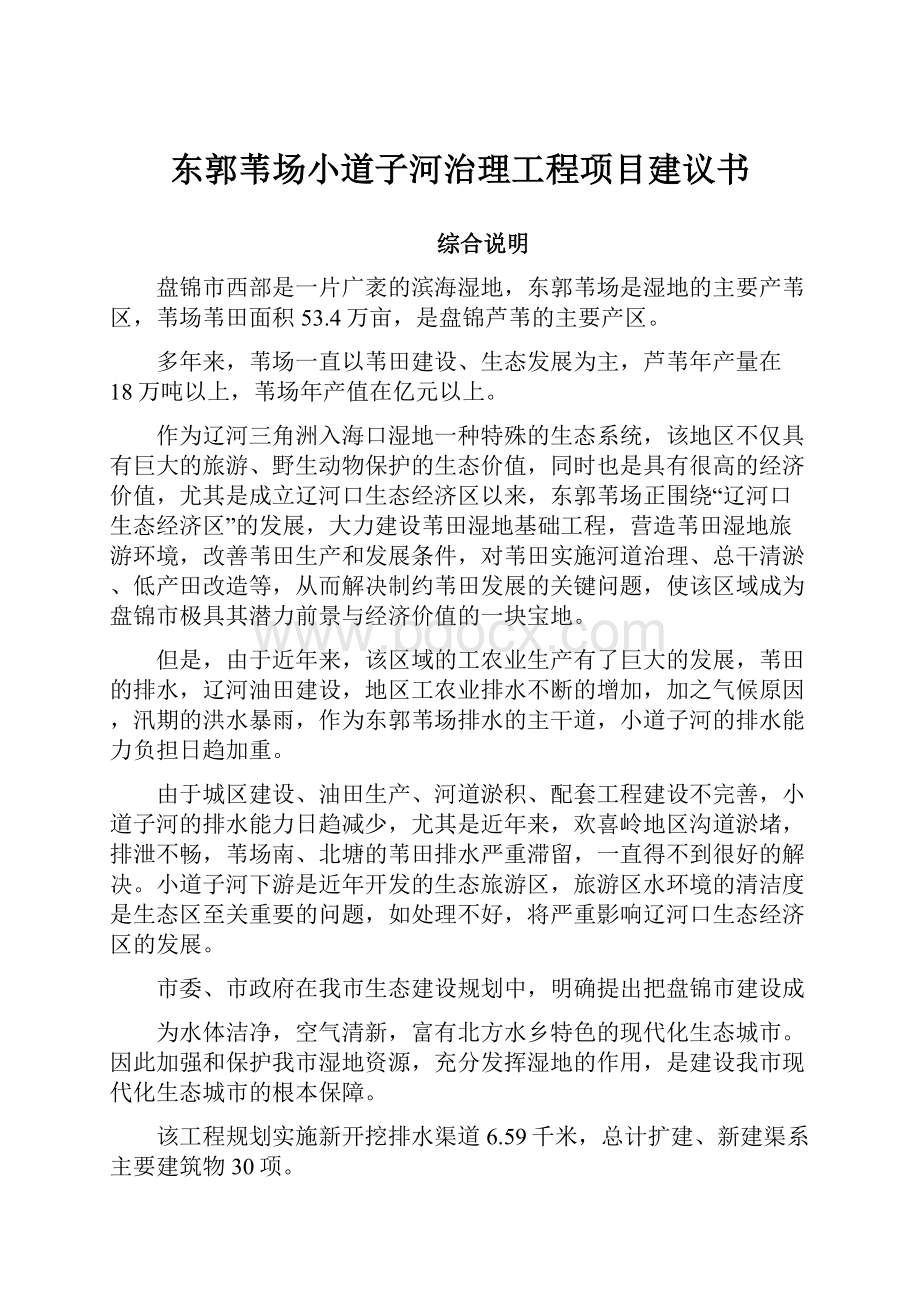 东郭苇场小道子河治理工程项目建议书.docx_第1页