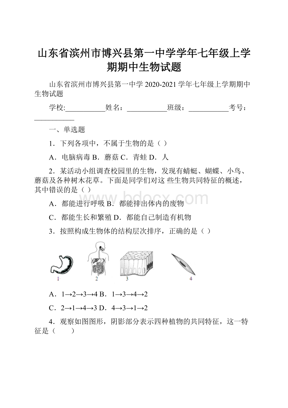 山东省滨州市博兴县第一中学学年七年级上学期期中生物试题.docx