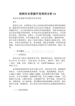 滨洲市水资源开发利用分析11.docx