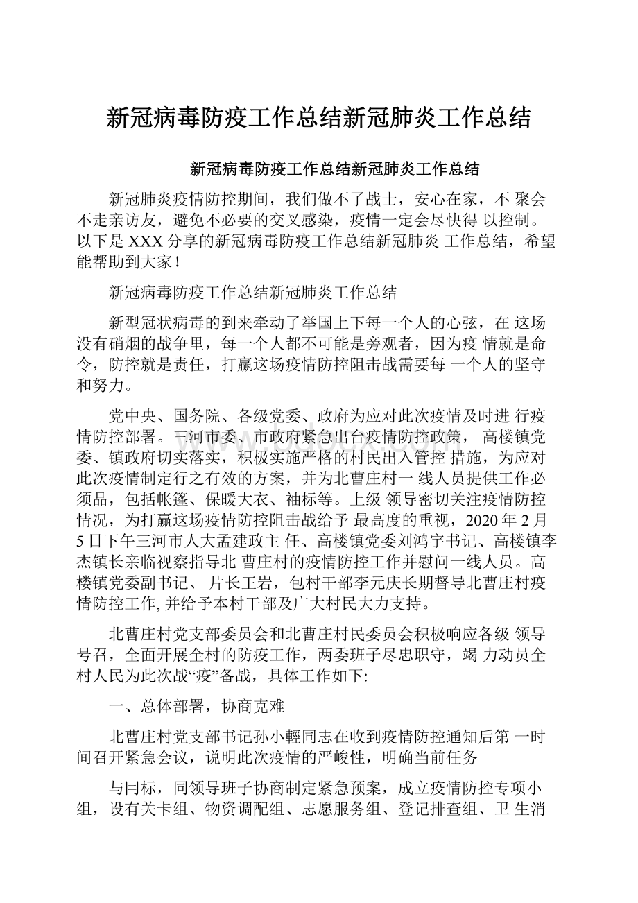 新冠病毒防疫工作总结新冠肺炎工作总结.docx