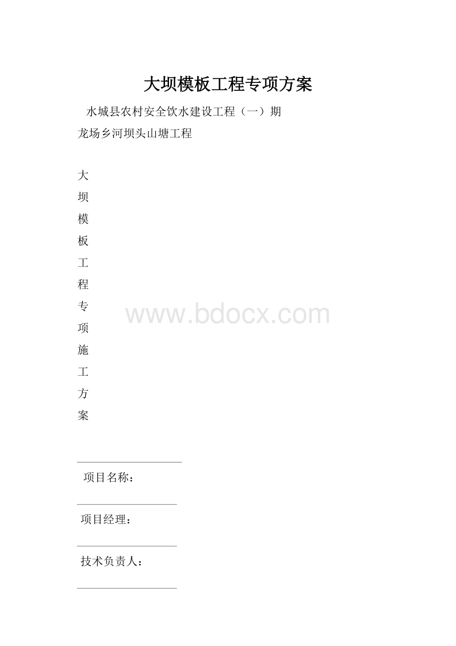 大坝模板工程专项方案.docx_第1页