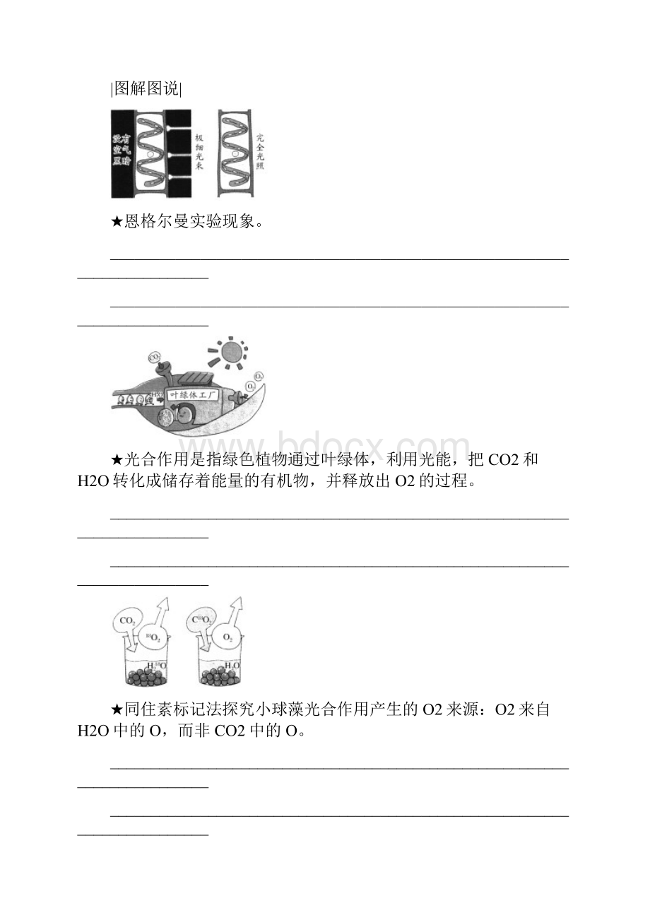 版高中生物人教版必修一学案542 光合作用的探究历程和光合作用的过程 含答案.docx_第3页