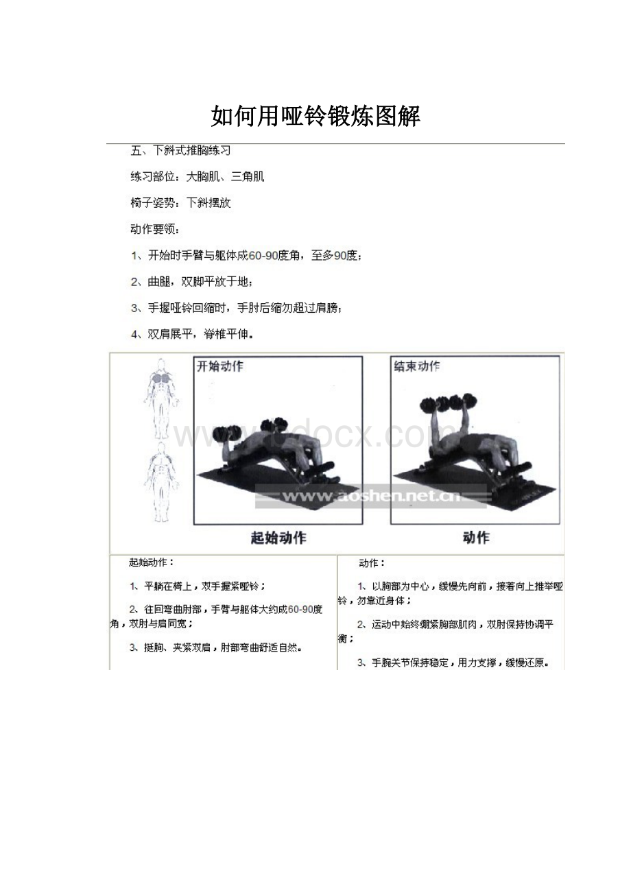 如何用哑铃锻炼图解.docx