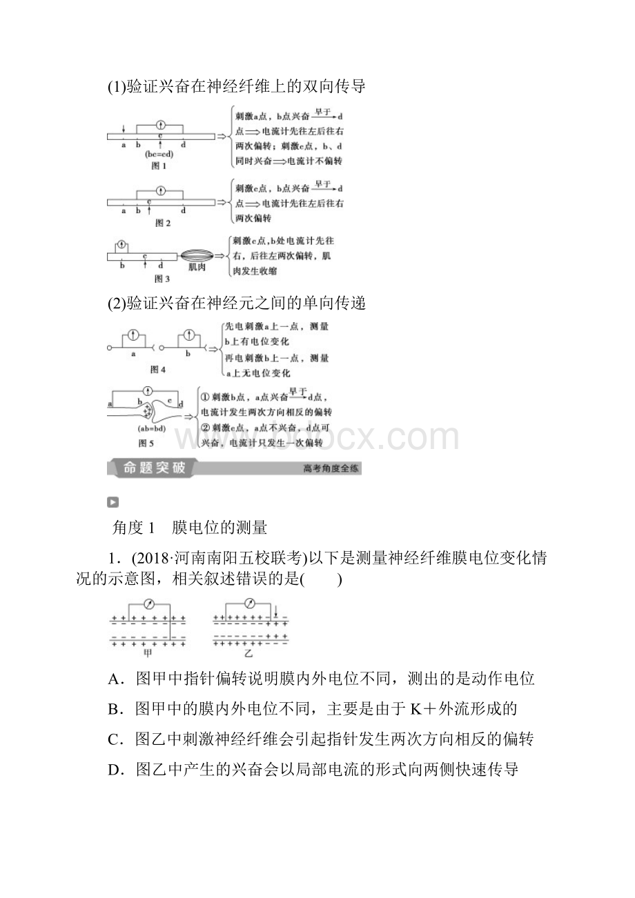 高考生物复习生命活动的调节加强提升课五兴奋测定中的电流表指针偏转及探究实验分析名师制作优质学案.docx_第2页