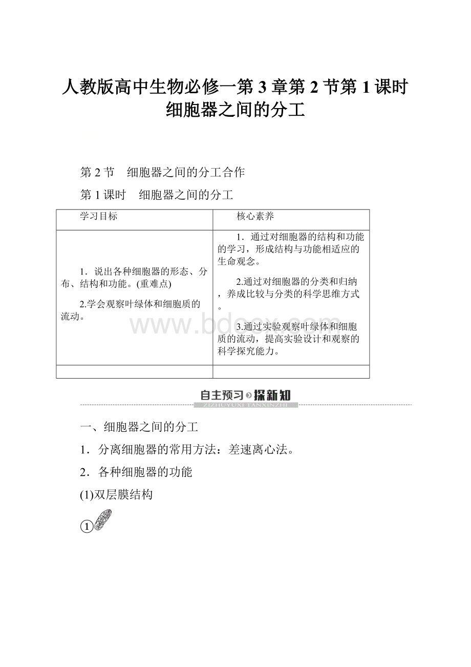 人教版高中生物必修一第3章第2节第1课时细胞器之间的分工.docx_第1页