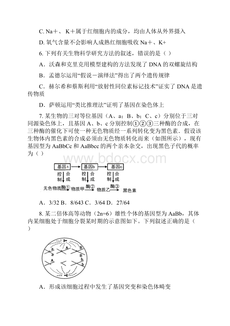 届河北省邯郸市大名县第一中学高三上学期阶段性联考考前检测生物试题.docx_第3页