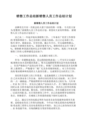 销售工作总结新销售人员工作总结计划.docx