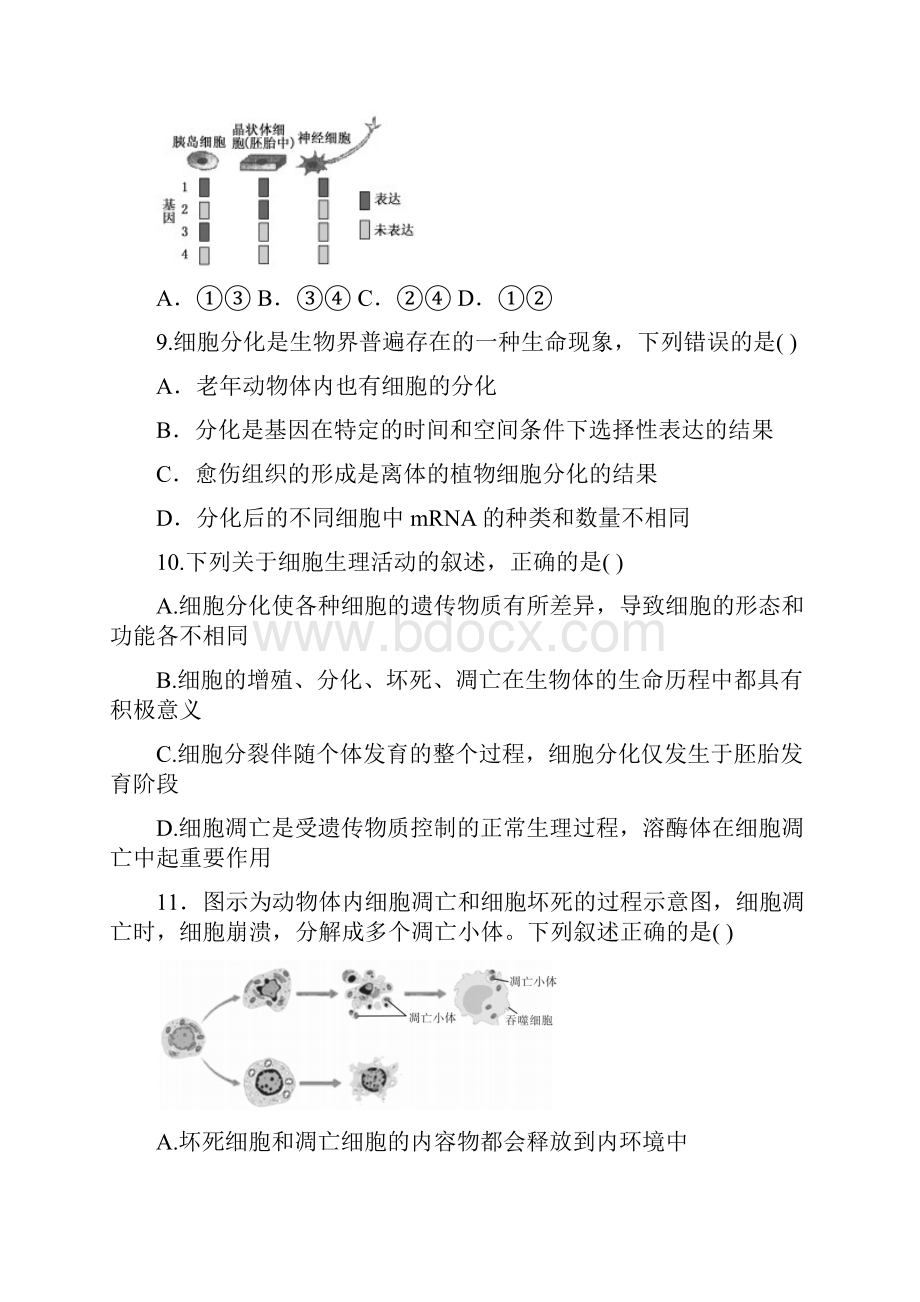 高三上学期开学质量检测生物试题含答案.docx_第3页