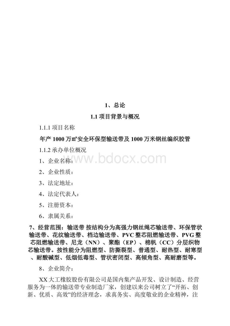 年产1000万安全环保型输送带及1000万米钢丝编织胶管可行性研究报告.docx_第2页