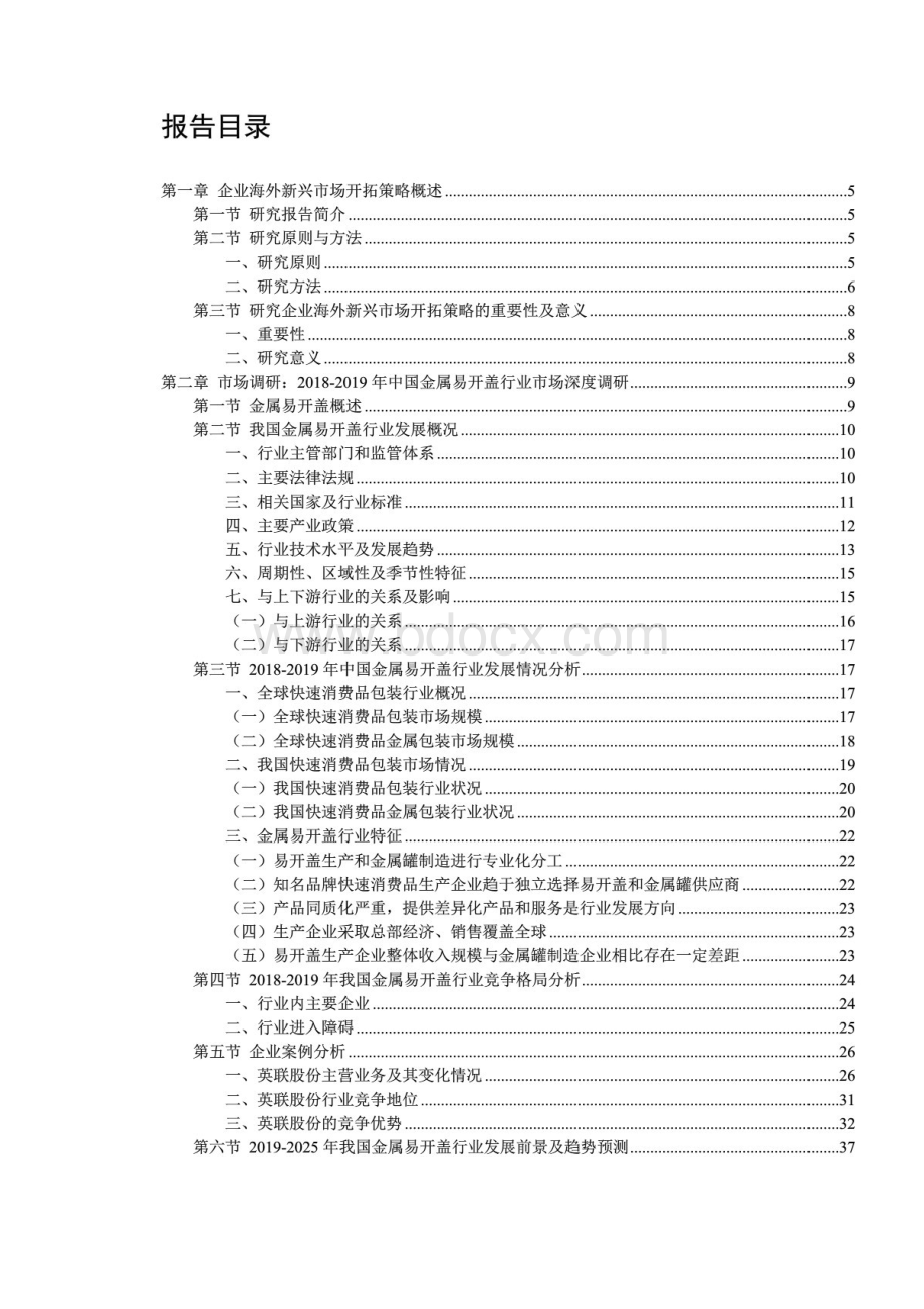 中国金属易开盖行业海外新兴市场开拓策略研究报告.docx_第2页