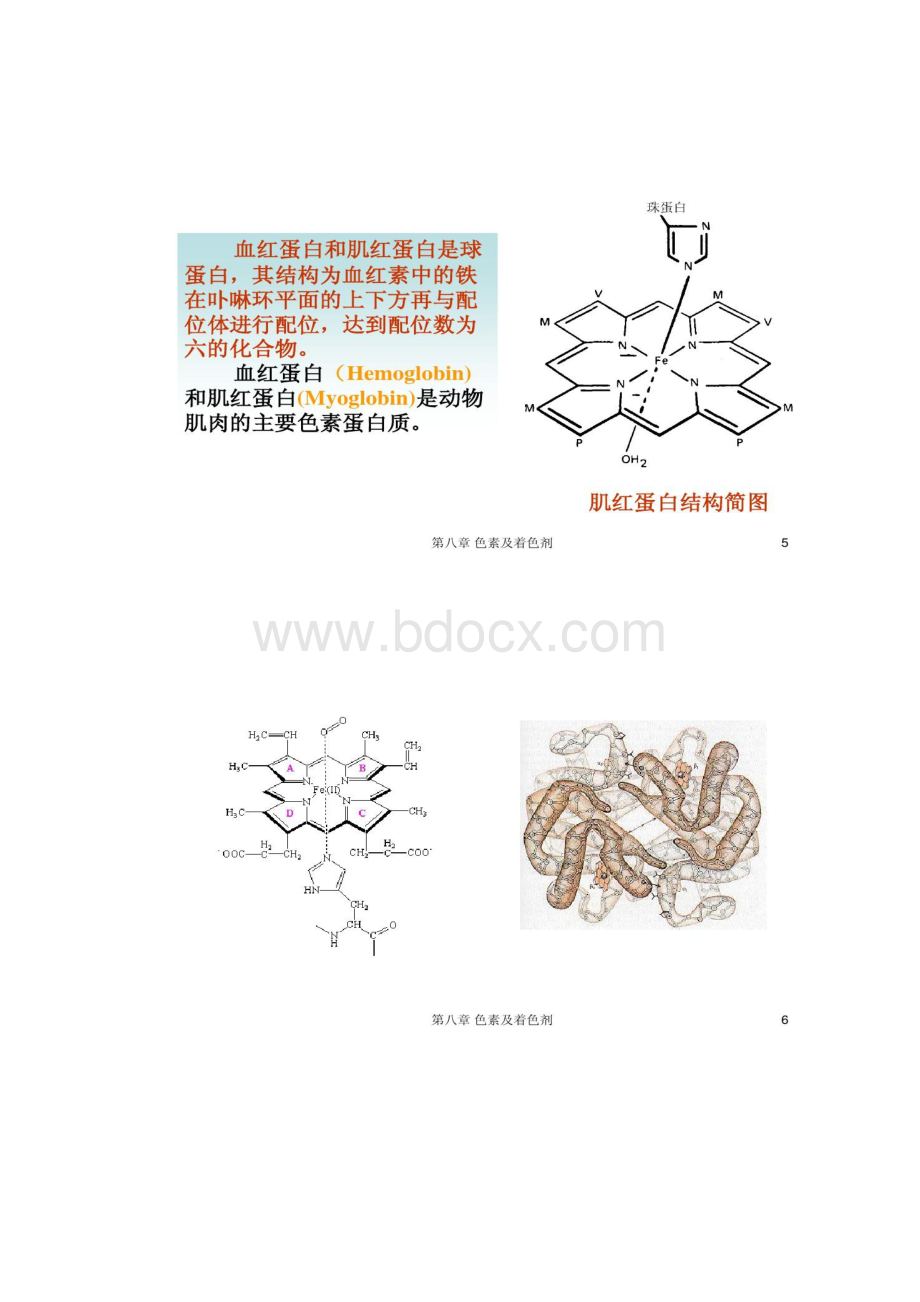 中国海洋大学食品化学第八章色素及着色剂.docx_第3页