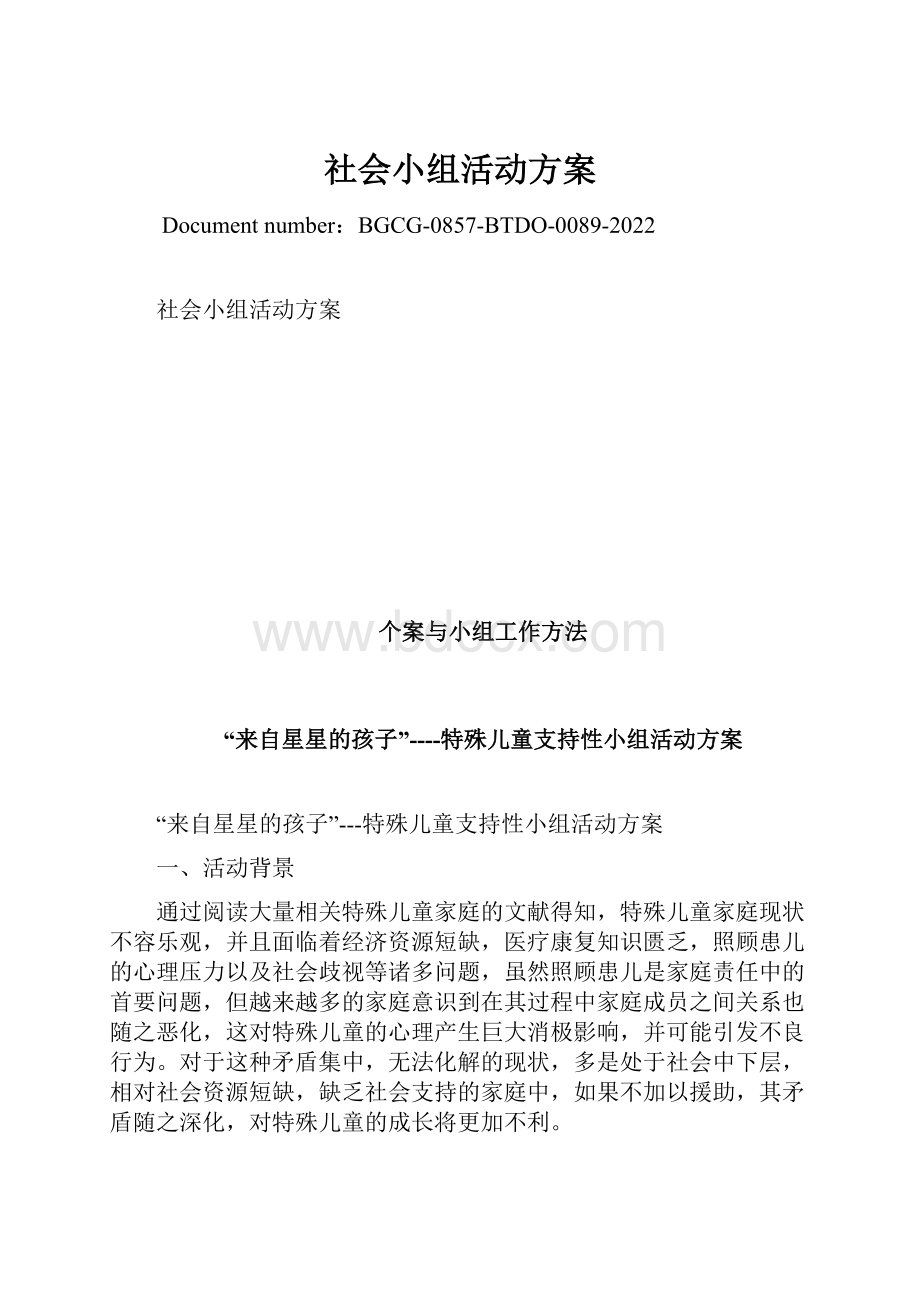 社会小组活动方案.docx