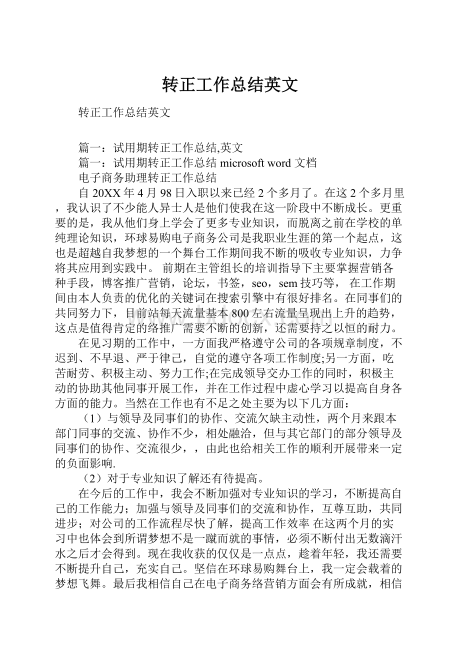 转正工作总结英文.docx