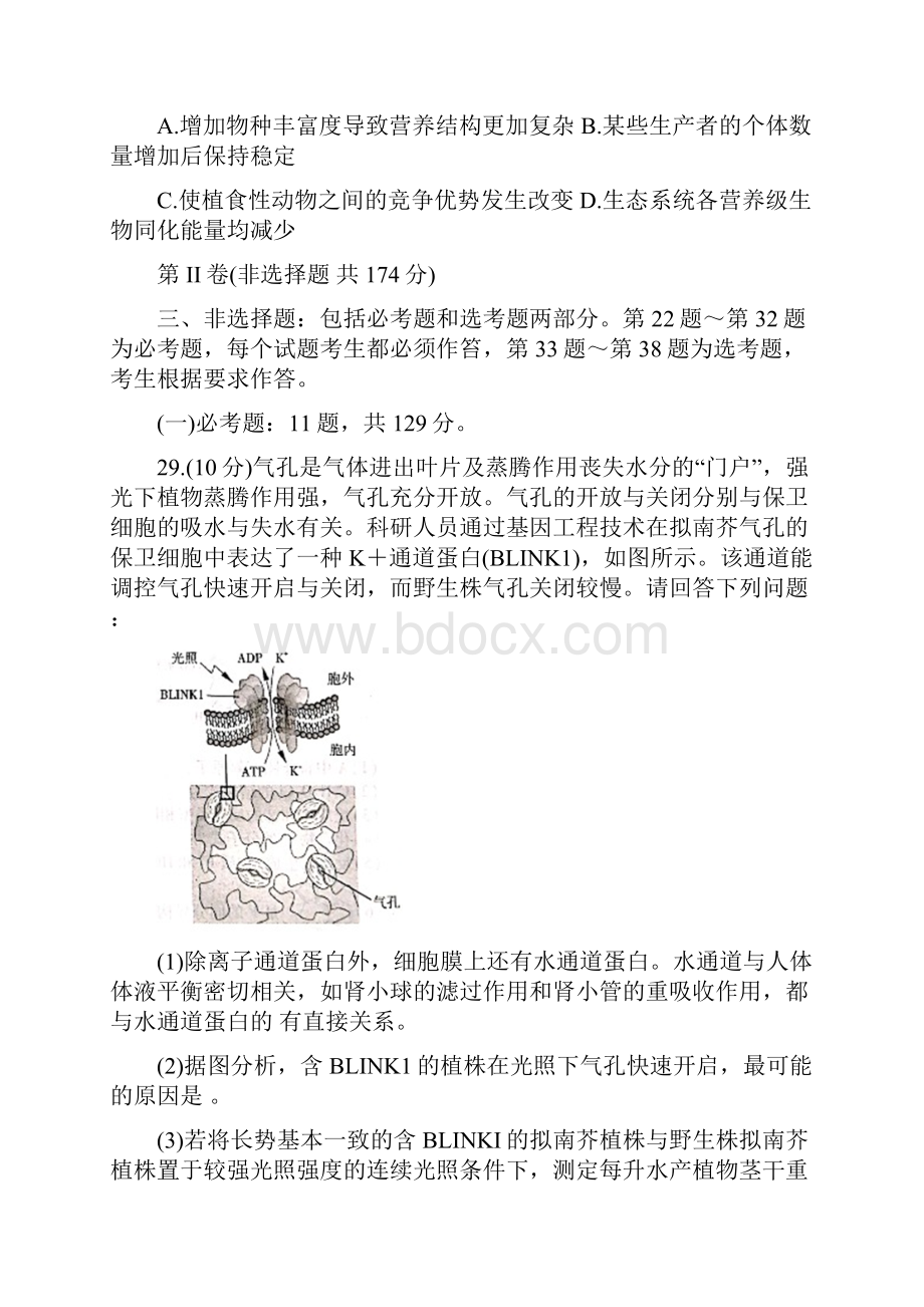 江西省吉安抚州赣州市届高三一模生物试题.docx_第3页