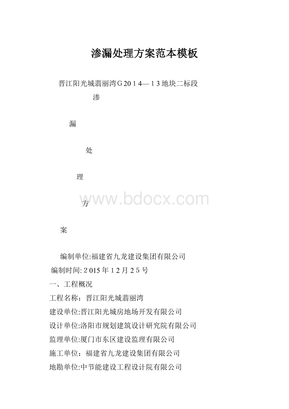 渗漏处理方案范本模板.docx_第1页