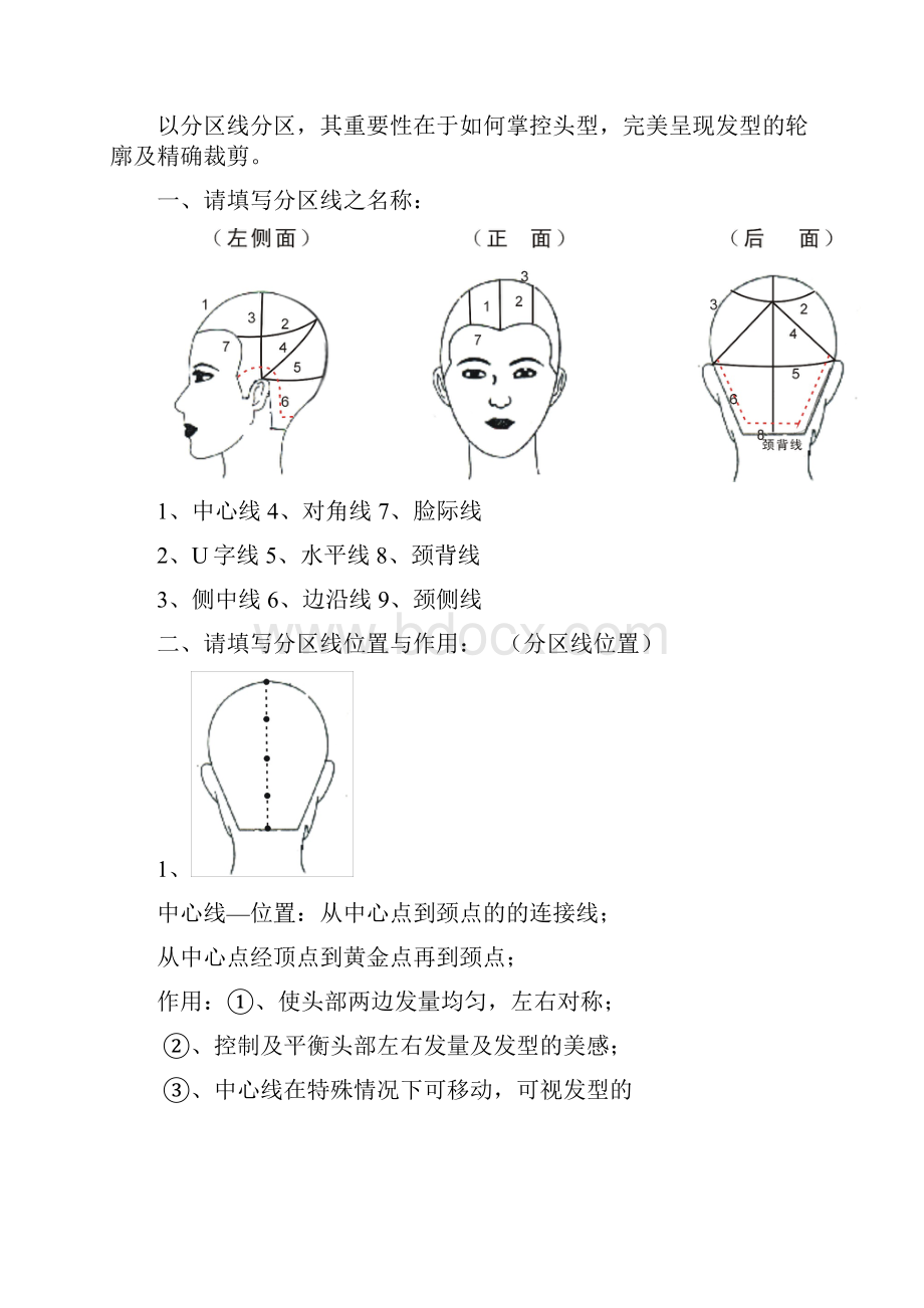 发型师必备美发基础点线面剪发知识.docx_第3页