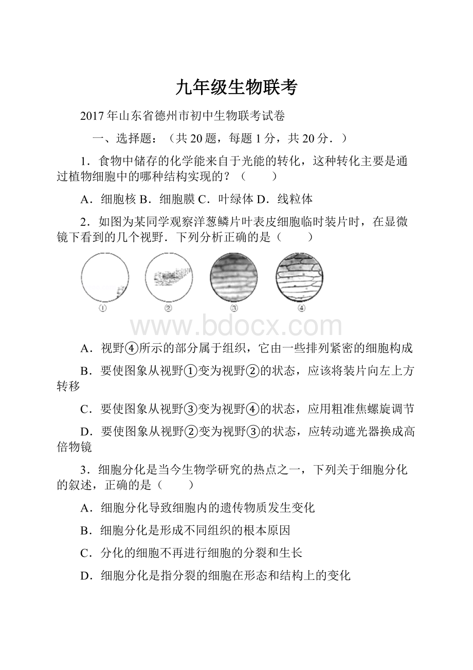 九年级生物联考.docx