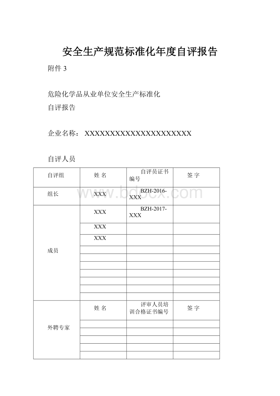 安全生产规范标准化年度自评报告.docx