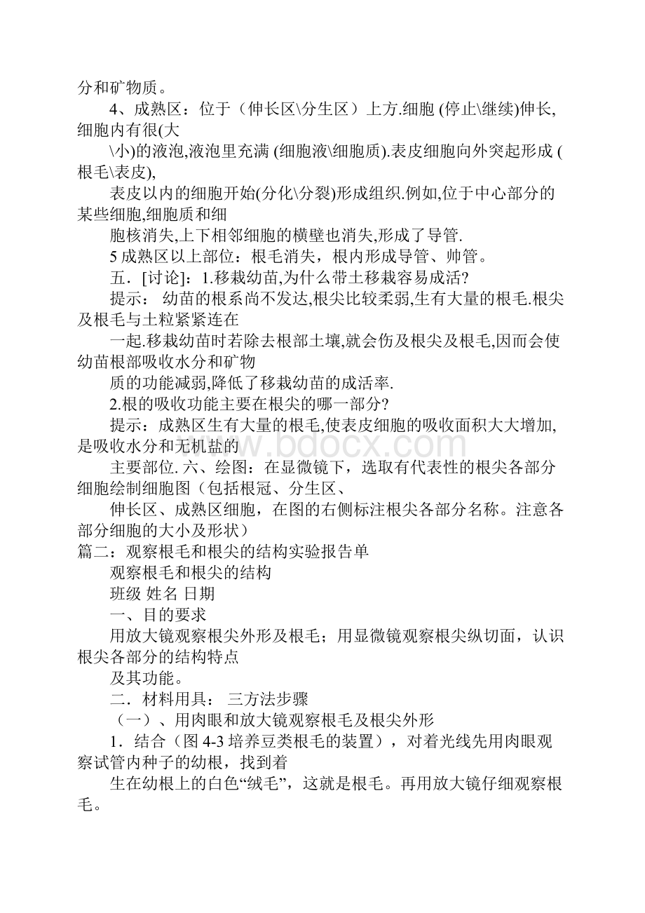 观察根毛和根尖的结构实验报告doc.docx_第2页