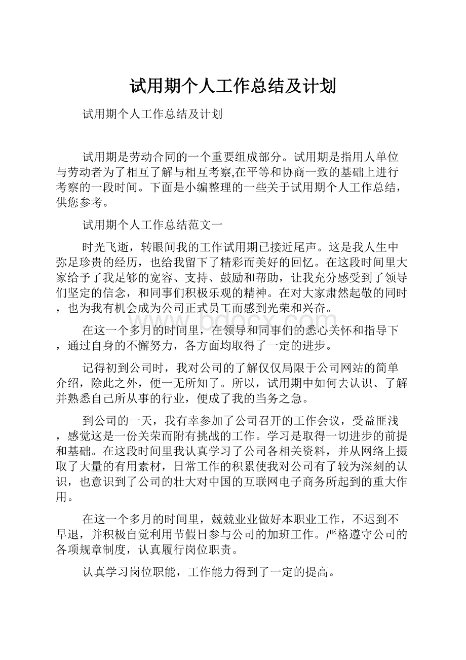 试用期个人工作总结及计划.docx_第1页