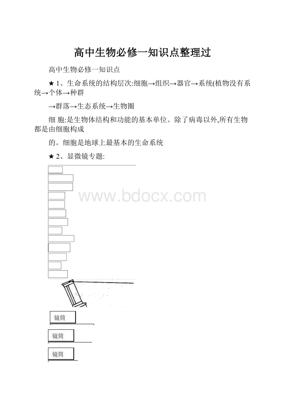 高中生物必修一知识点整理过.docx