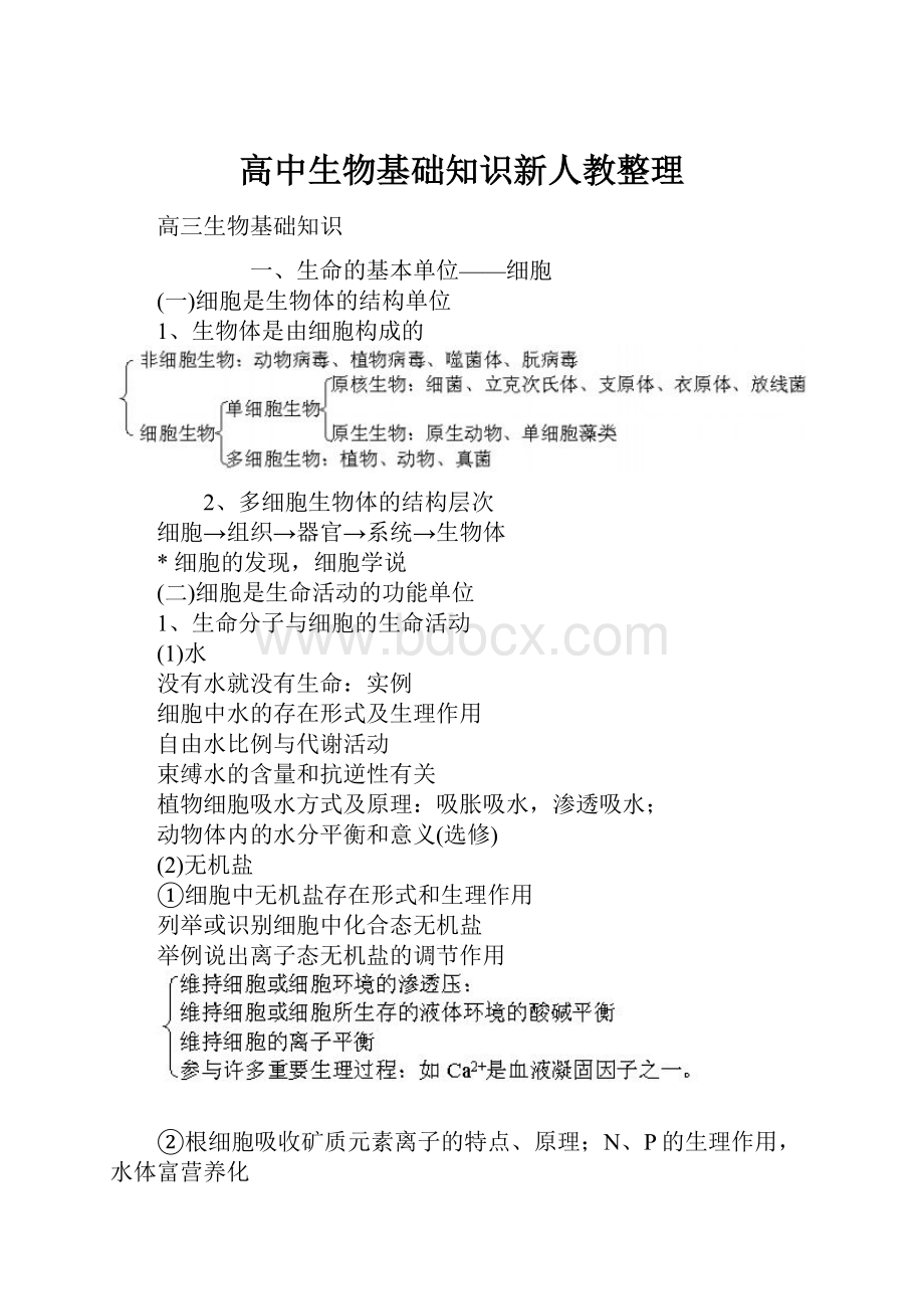 高中生物基础知识新人教整理.docx_第1页