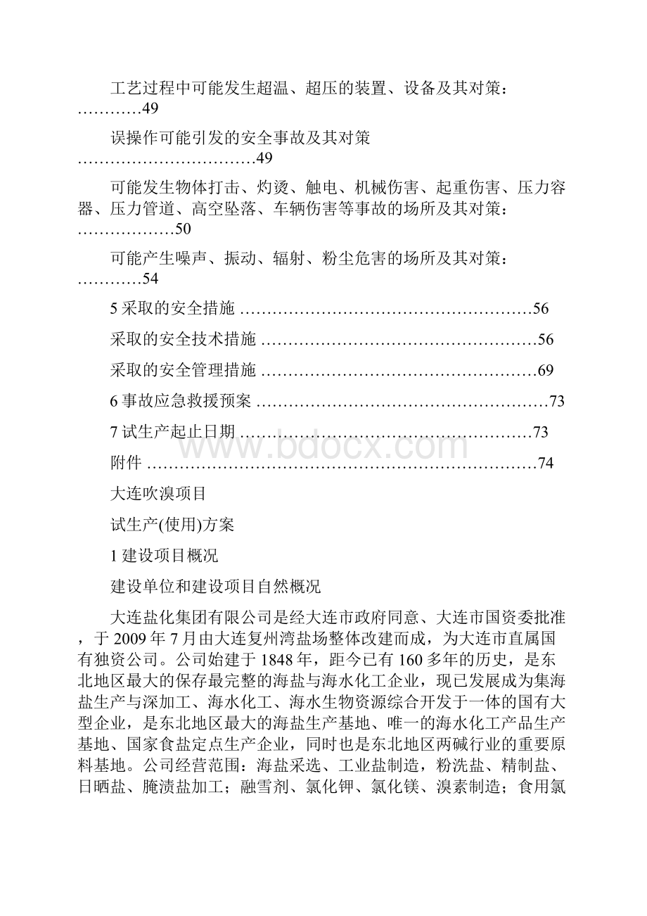 危险化学品项目试生产方案.docx_第2页