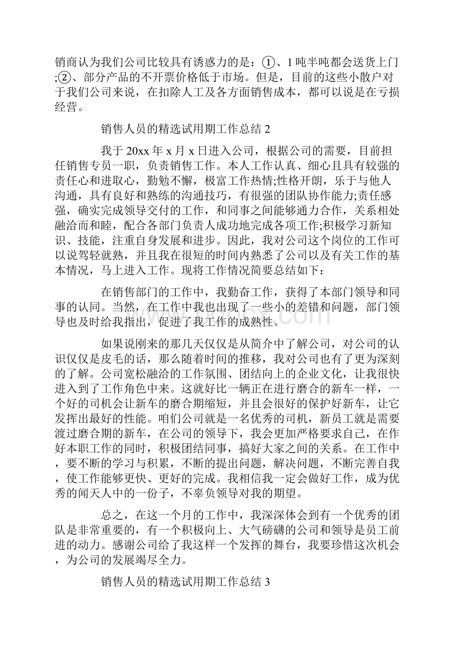 销售人员的精选试用期工作总结.docx_第3页