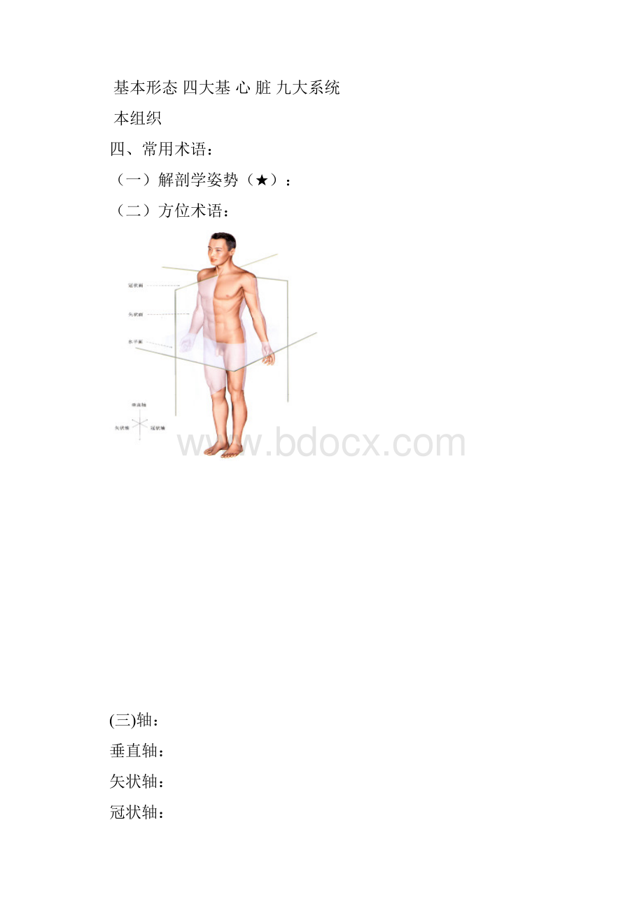 解剖教学备课笔记概况.docx_第3页