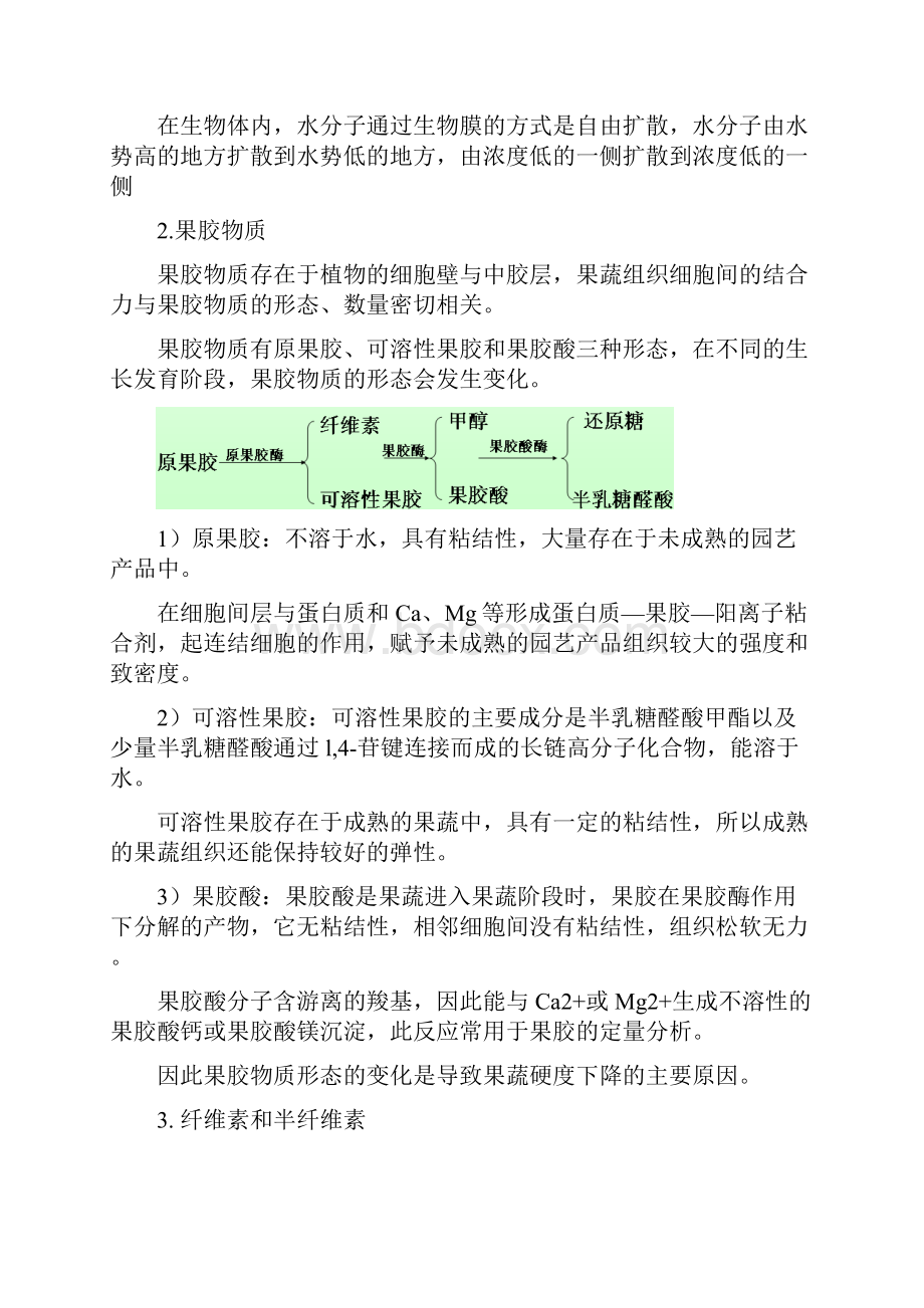 园艺产品贮藏加工学复习资料.docx_第3页