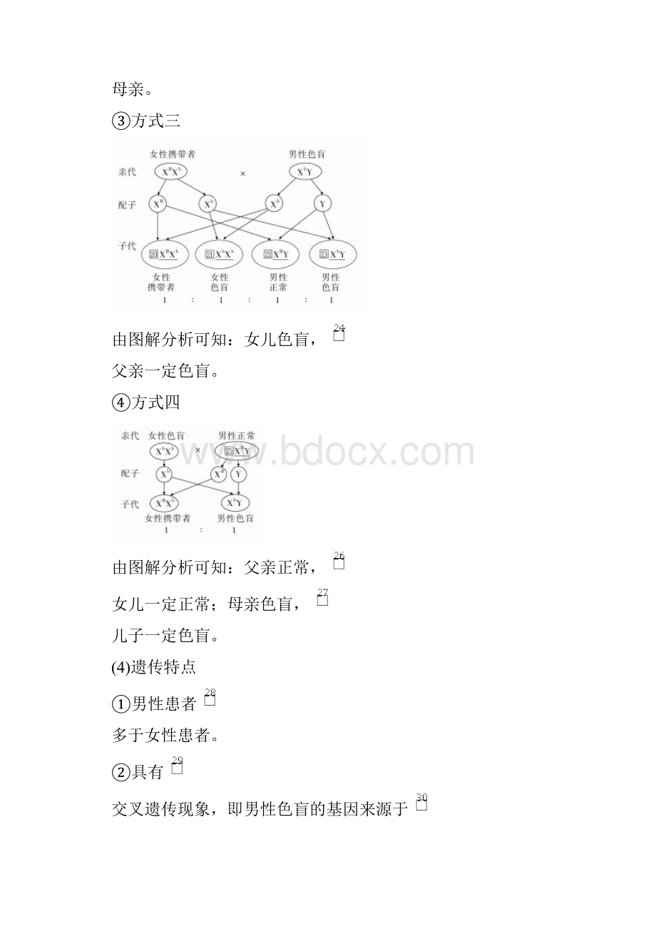 高中生物《伴性遗传》导学案+课时作业.docx_第3页