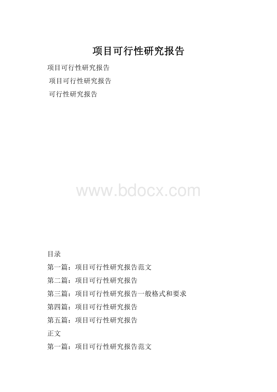 项目可行性研究报告.docx