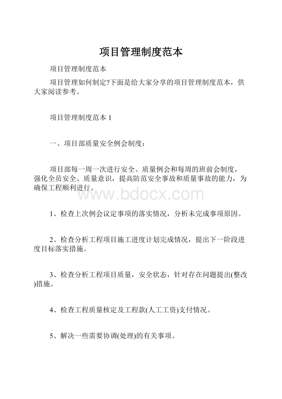 项目管理制度范本.docx_第1页