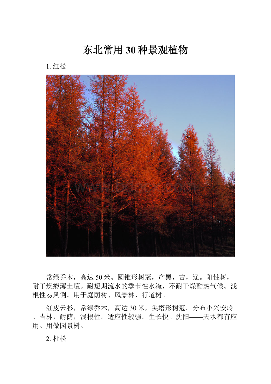东北常用30种景观植物.docx_第1页