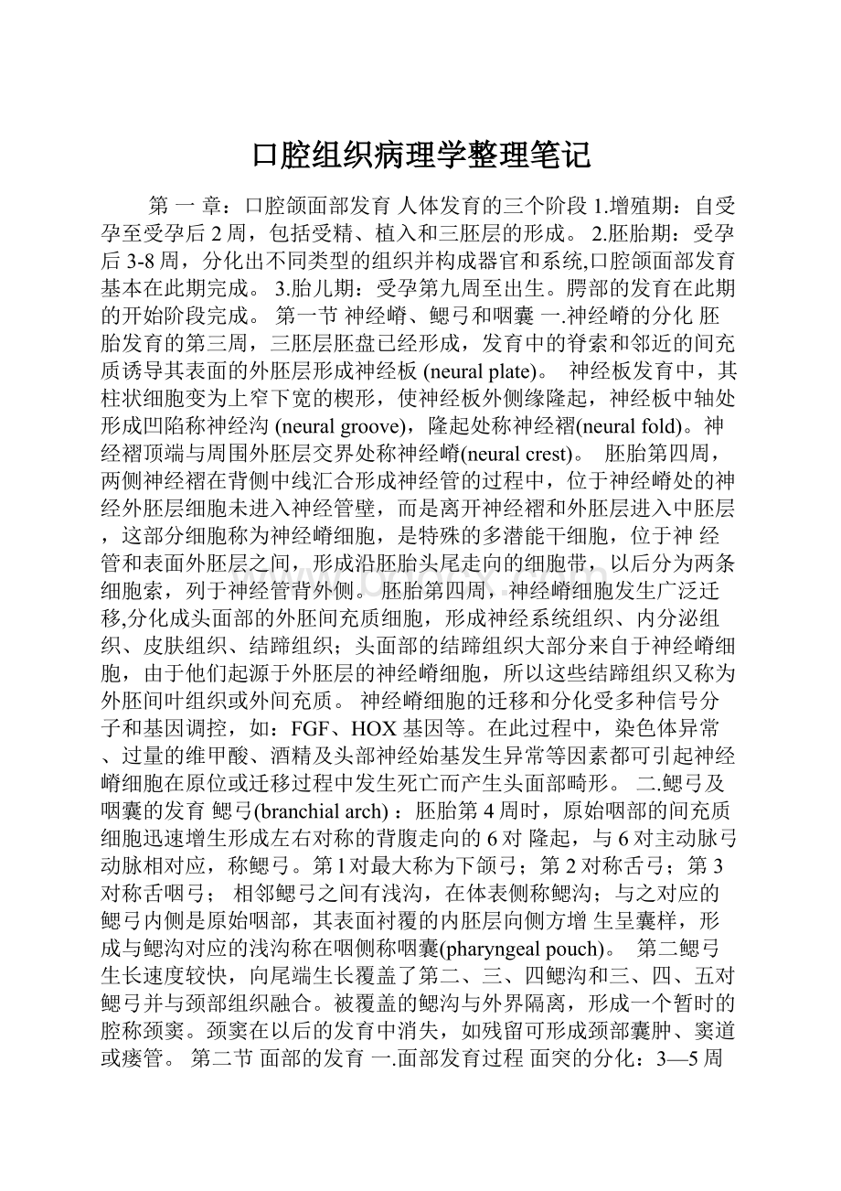 口腔组织病理学整理笔记.docx