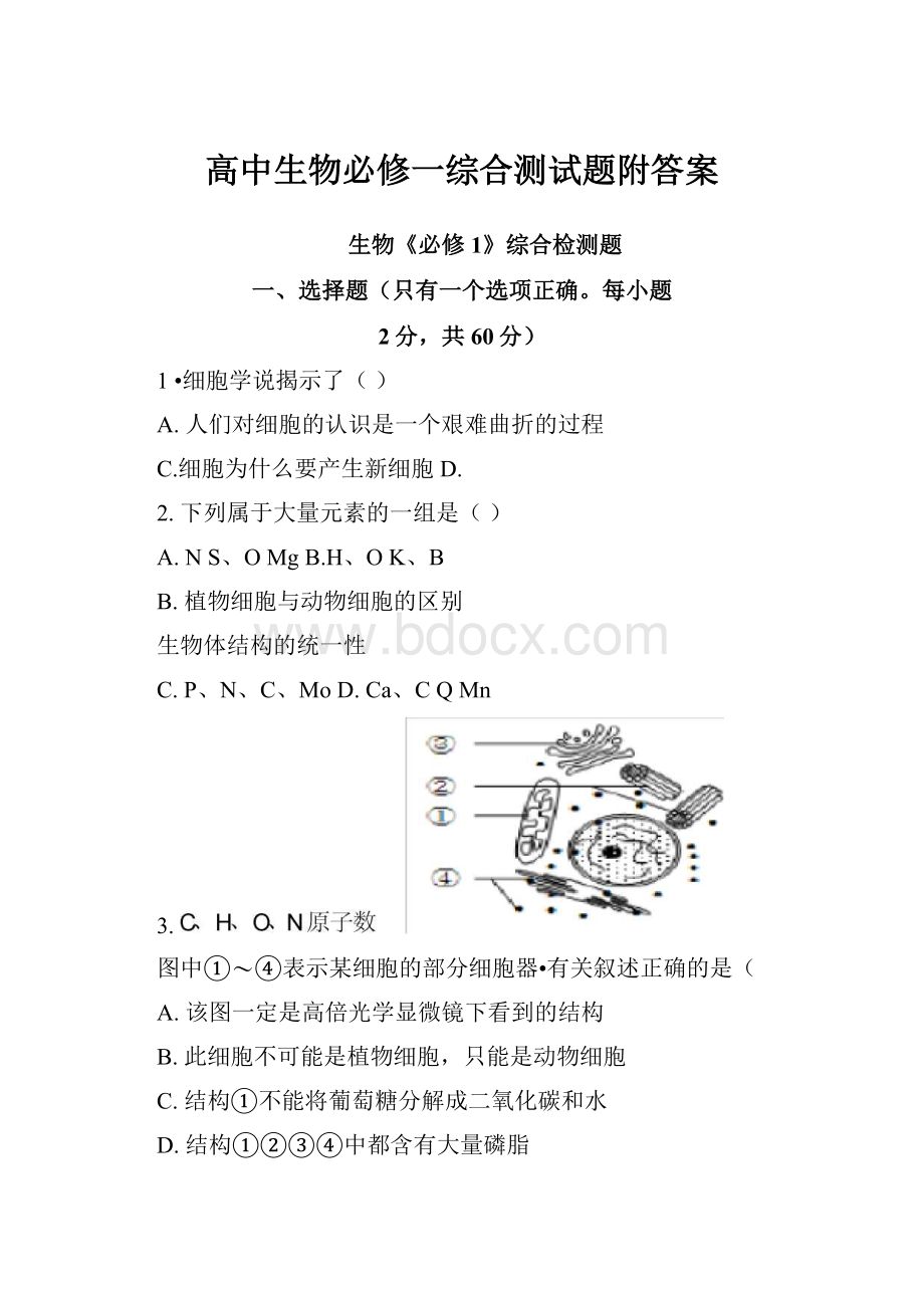 高中生物必修一综合测试题附答案.docx