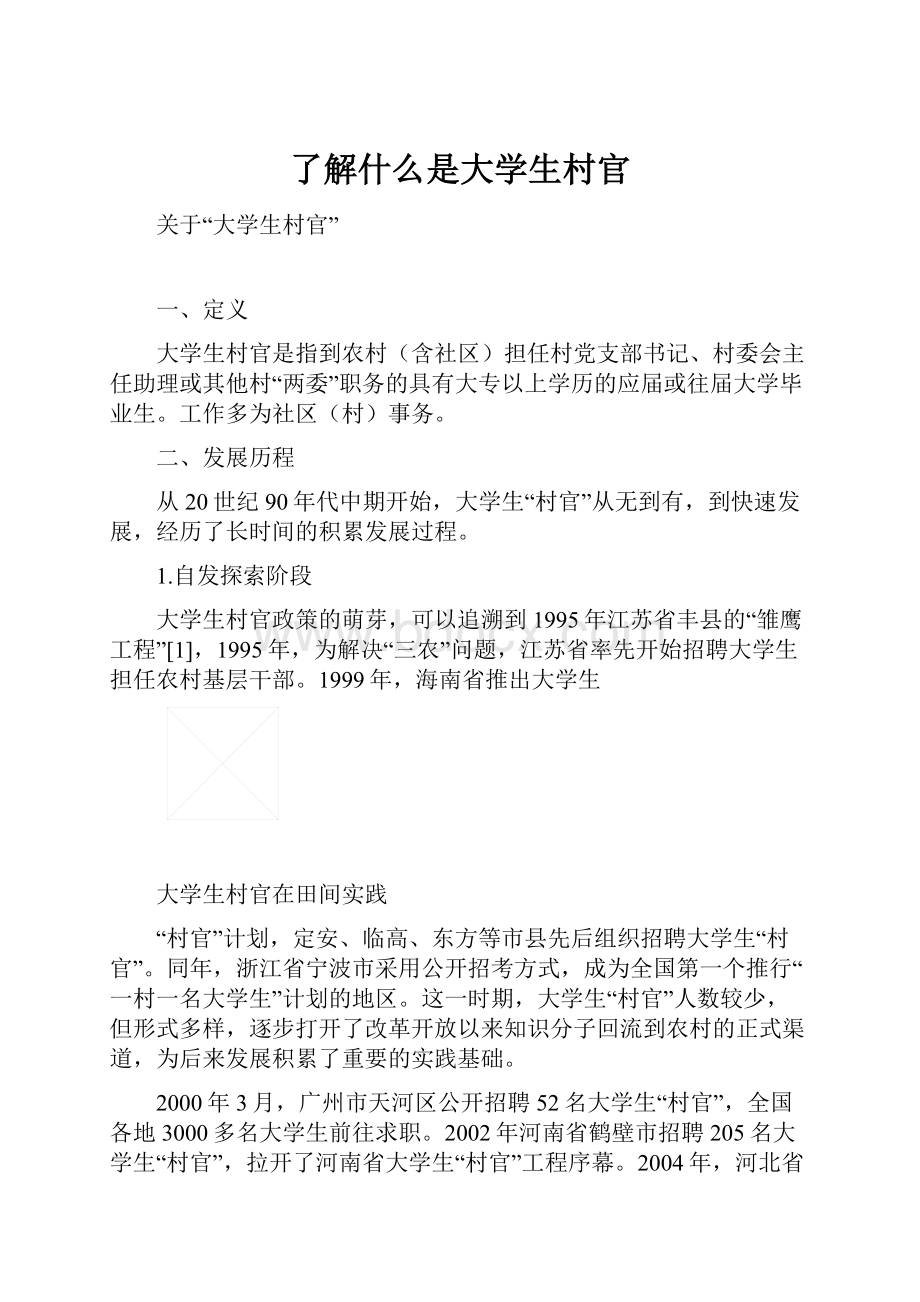 了解什么是大学生村官.docx_第1页