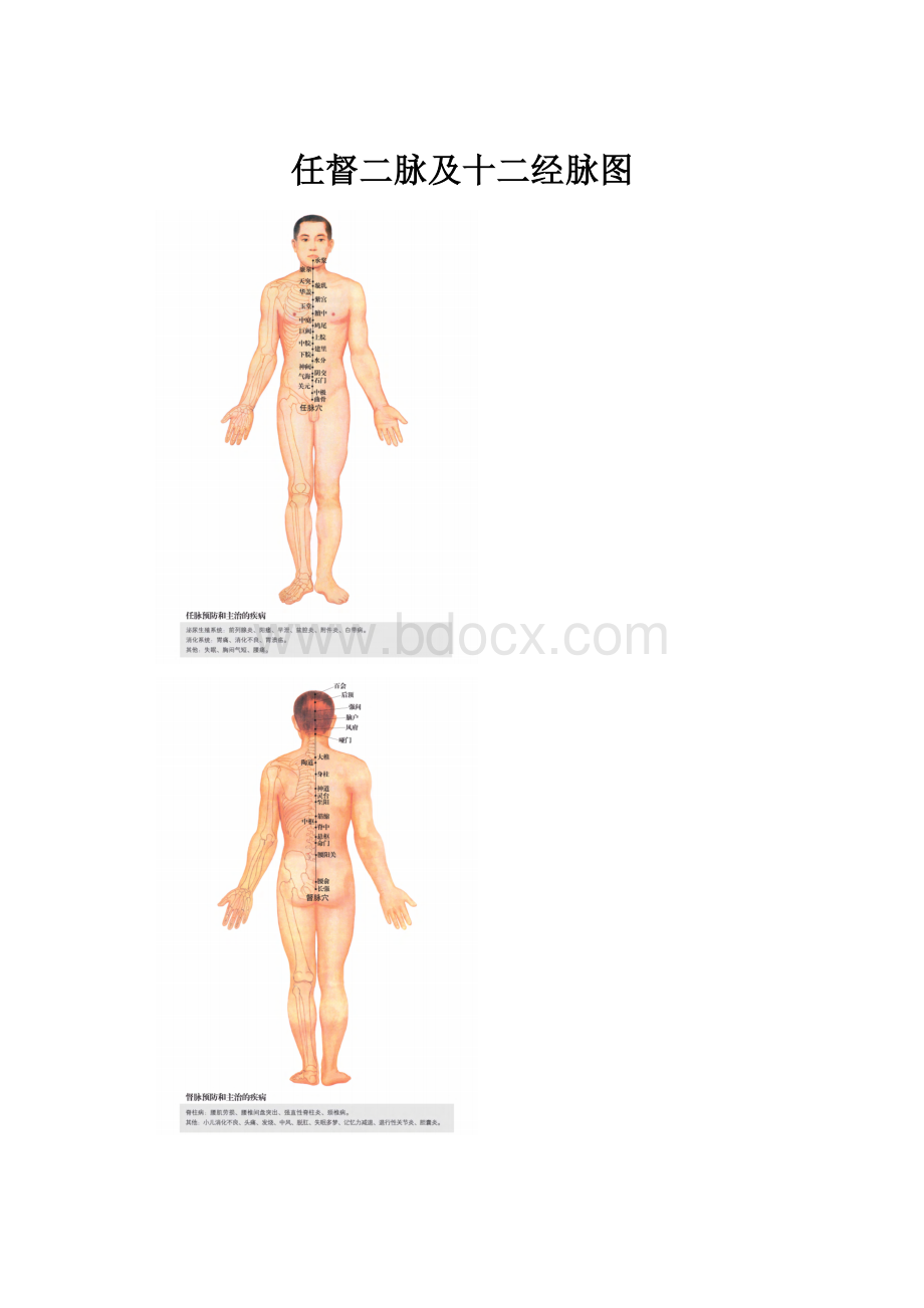 任督二脉及十二经脉图.docx