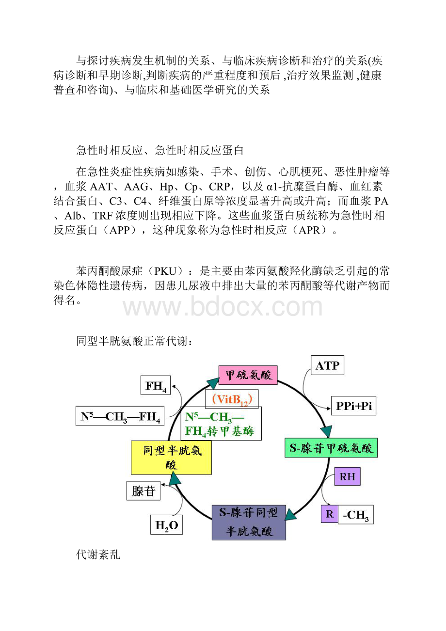 临床生物化学检验上复习要点.docx_第2页