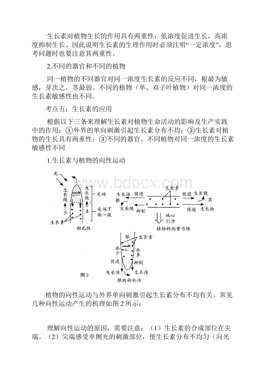 整理植物生命活动调节新陈代谢与酶有关生长素的考点分析.docx_第3页