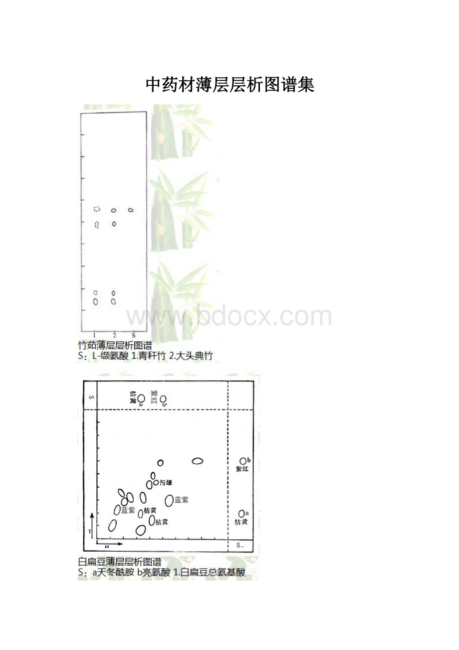 中药材薄层层析图谱集.docx_第1页