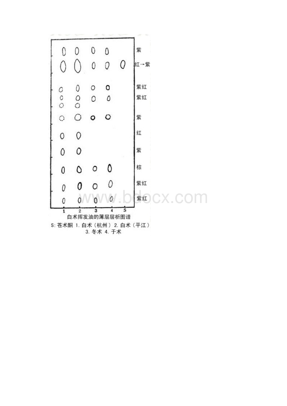 中药材薄层层析图谱集.docx_第2页