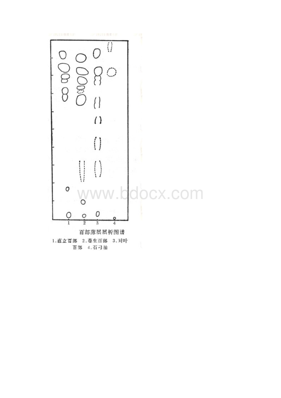 中药材薄层层析图谱集.docx_第3页