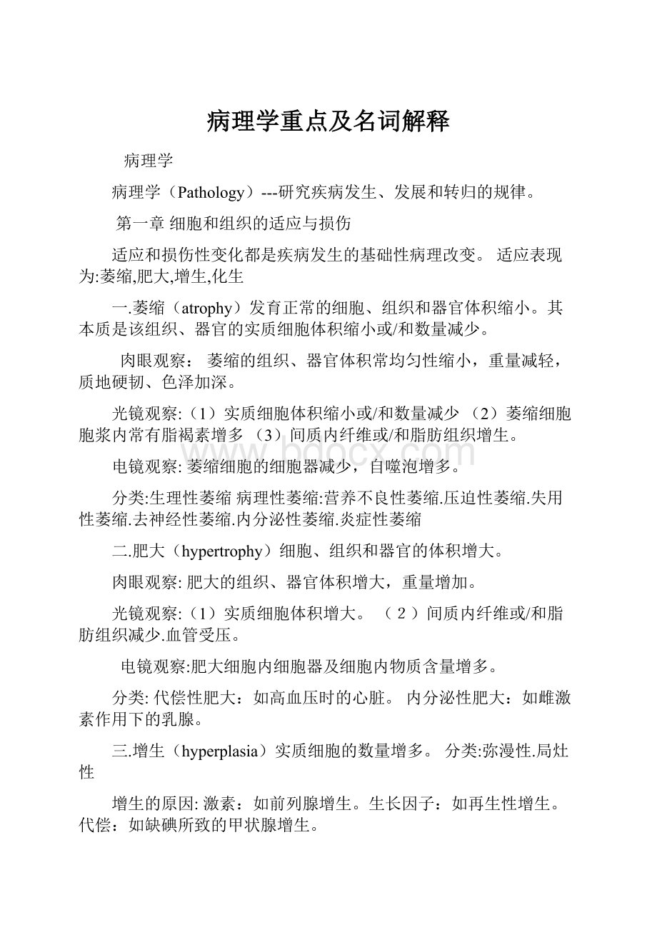 病理学重点及名词解释.docx_第1页