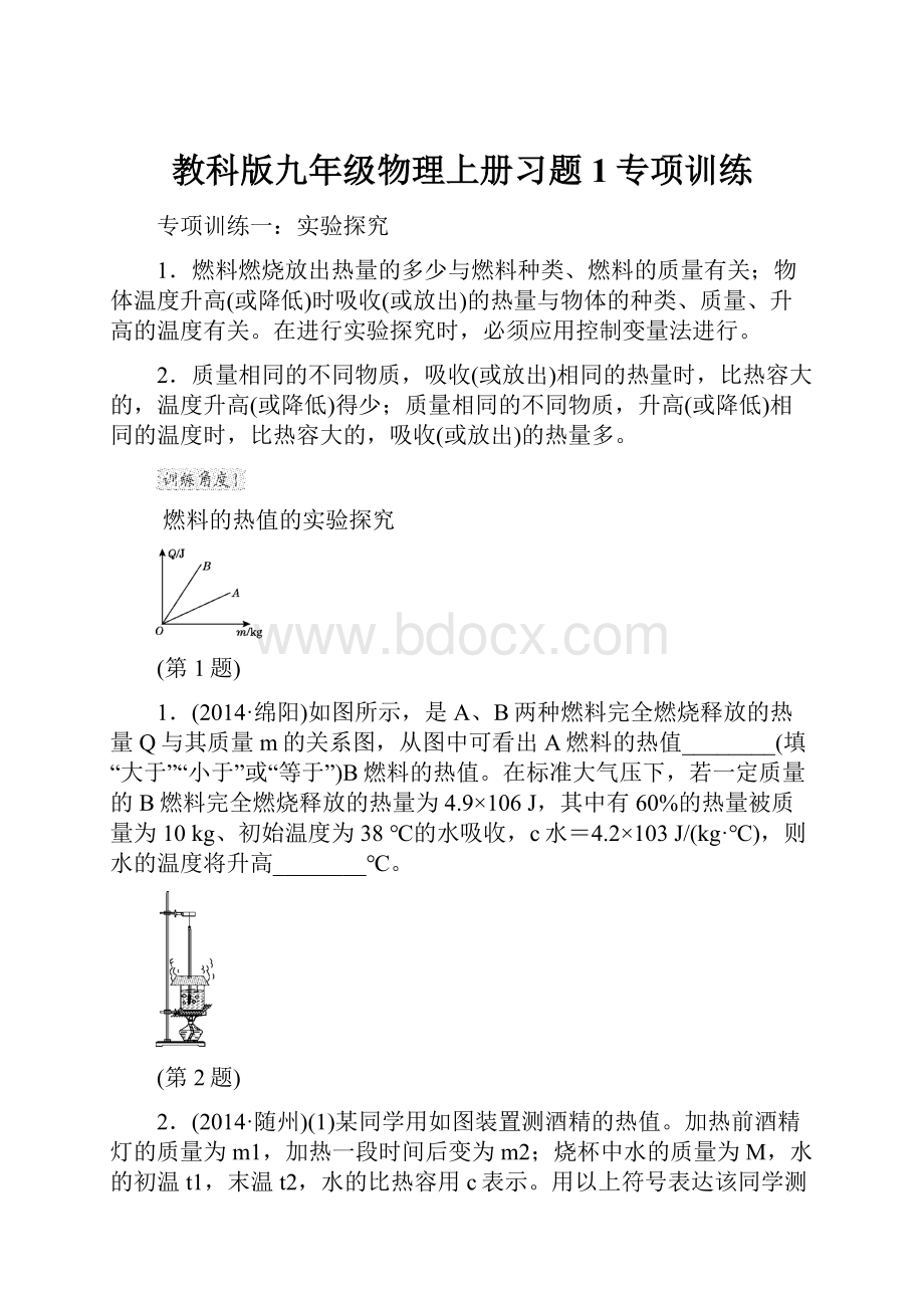 教科版九年级物理上册习题1专项训练.docx_第1页