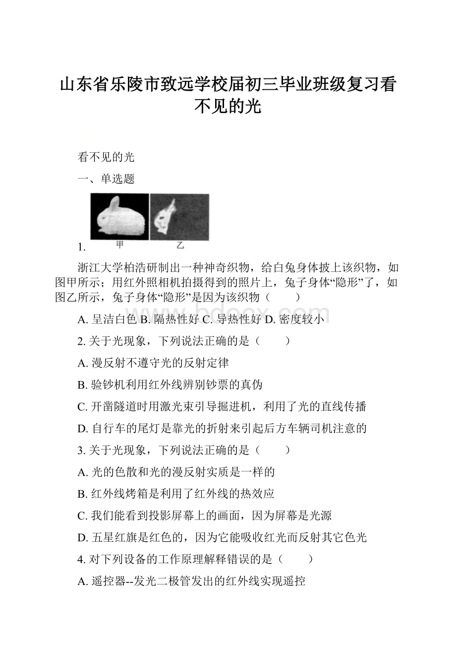 山东省乐陵市致远学校届初三毕业班级复习看不见的光.docx