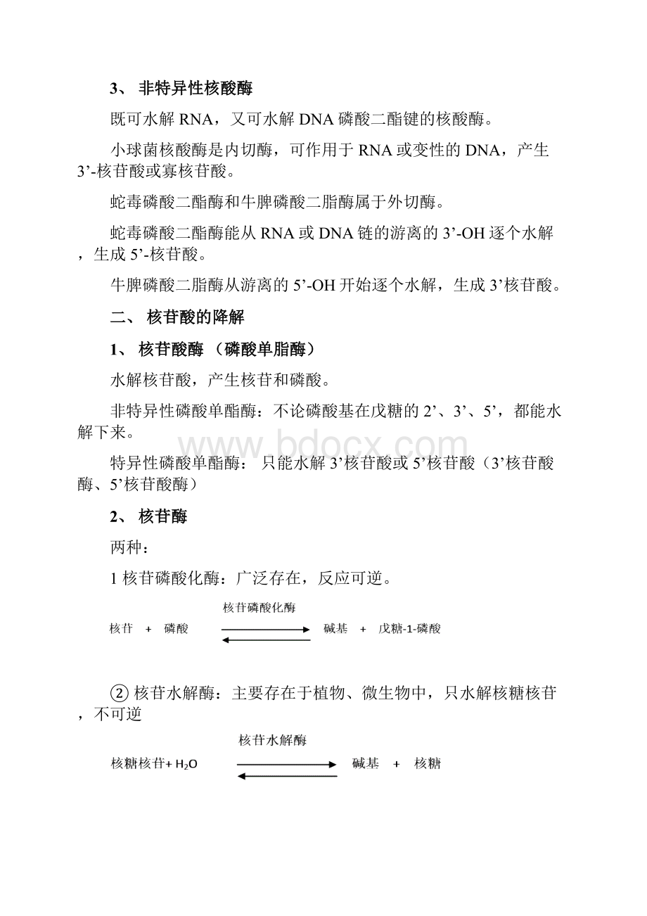 第二十一章核酸的降解和核苷酸代谢.docx_第3页